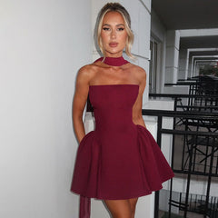 Sexy Tube Top Mini Dress – Back Zipper Sleeveless Party Dress for Women